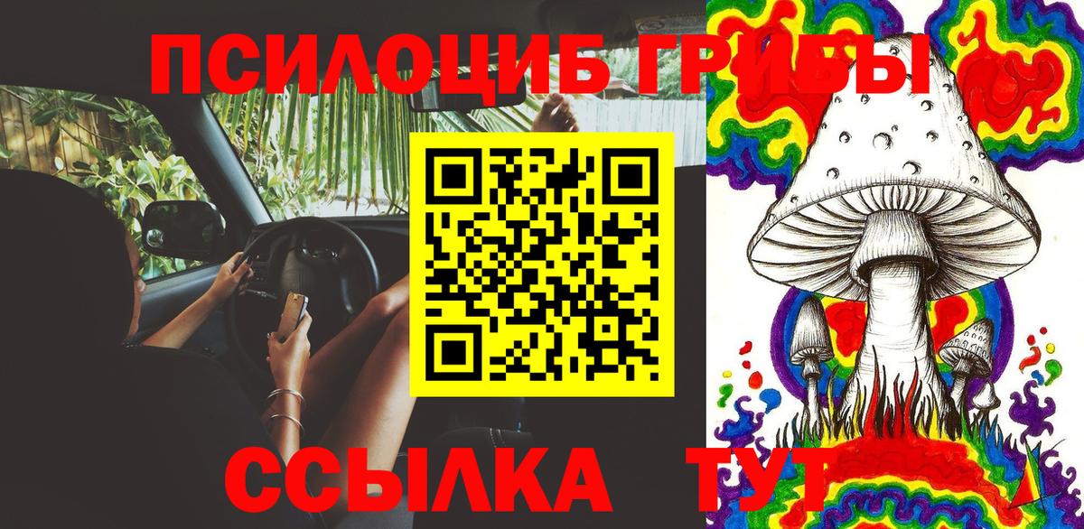 закладки  Псилоцибиновые грибы прущие грибы  Вход с VPN  Галлюциногенные грибы мухоморы  Дивногорск 