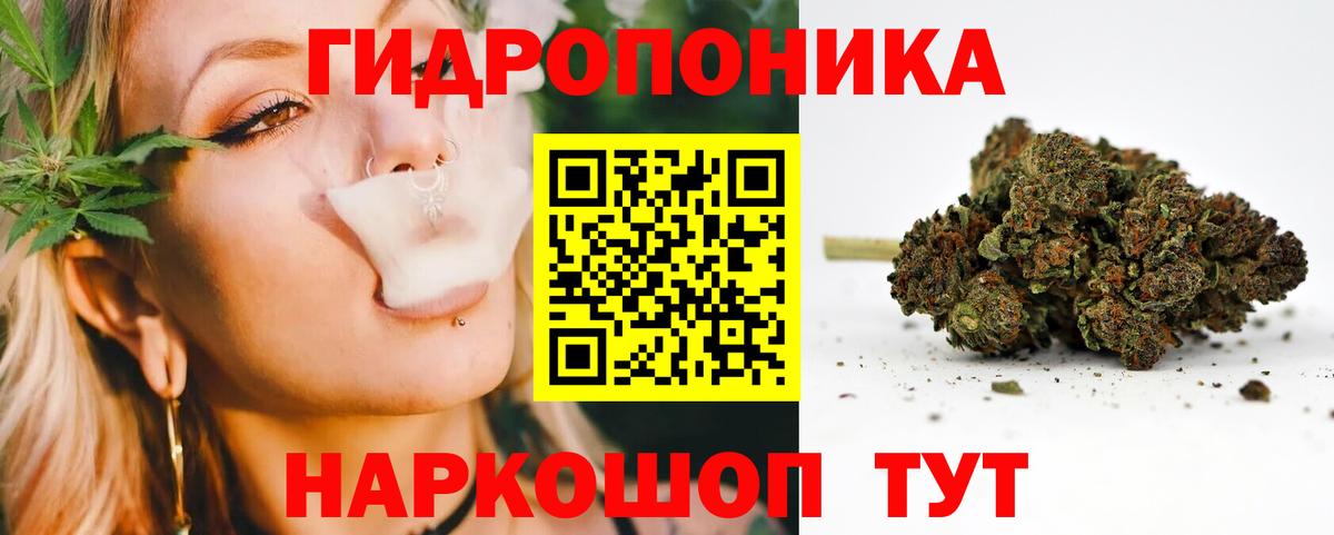 Бошки Шишки семена  Вход с VPN  Бошки марихуана VHQ  Бошки Шишки сатива  Дивногорск 